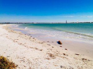 Tips for Planning a Tour Vacation