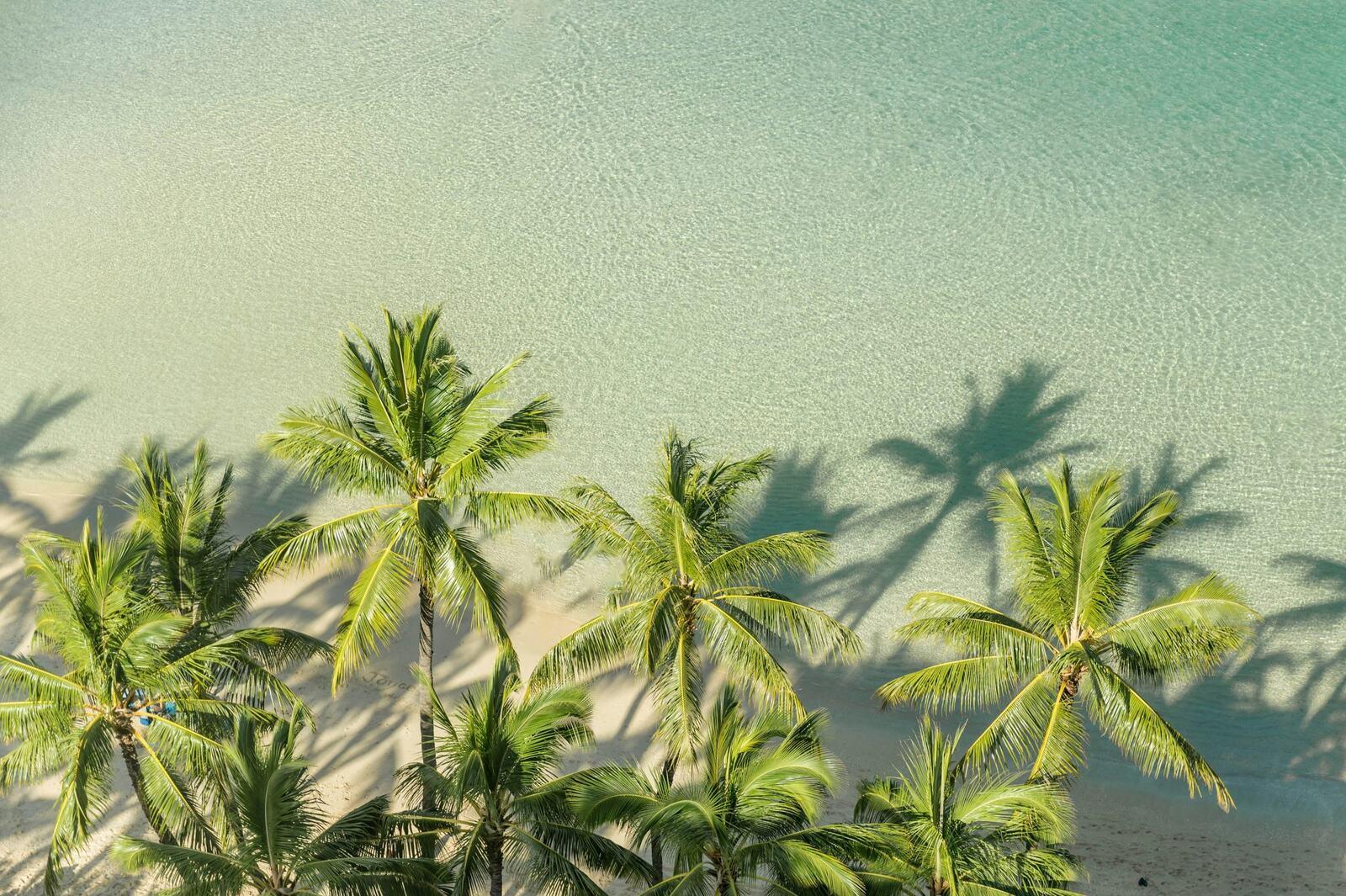 Spring Break 2027: The Ultimate Early Planning Guide | Go Blue Tours