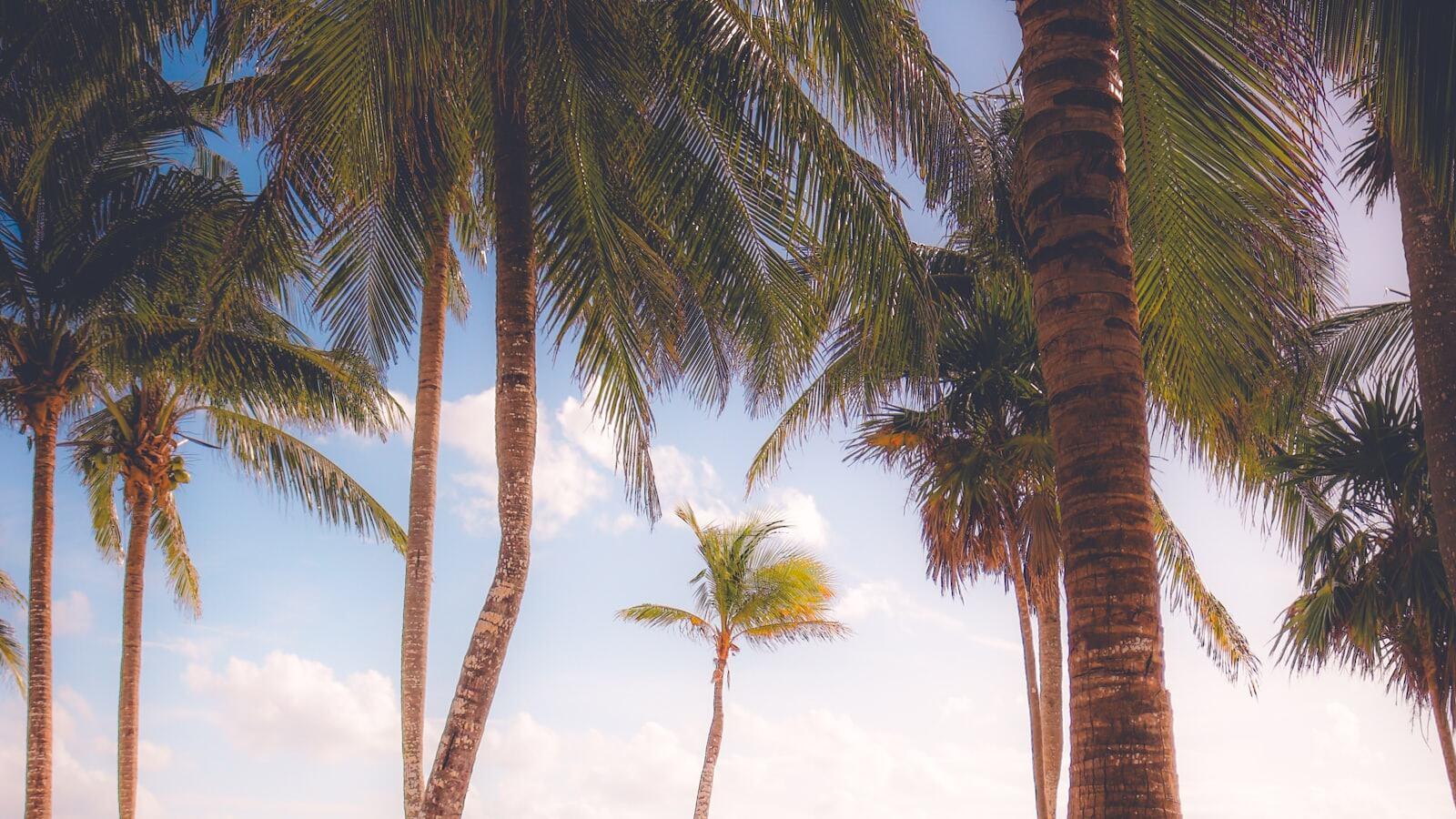 DOs and DON’Ts for Spring Break Cancun