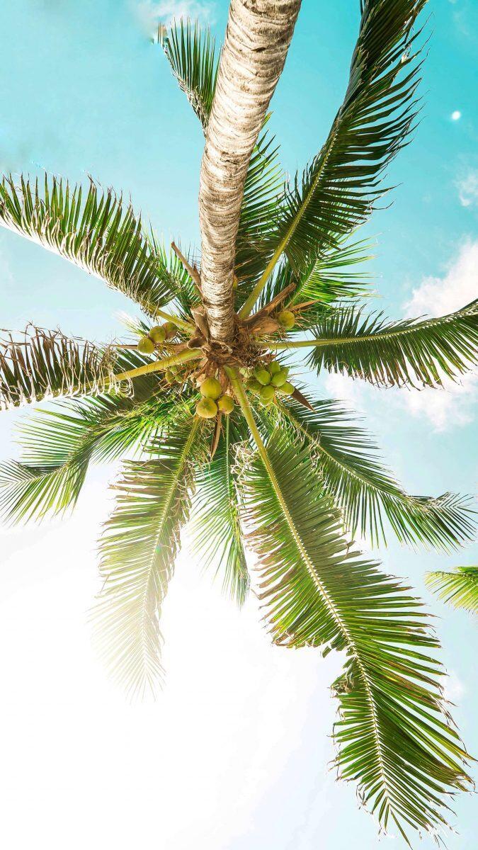 Tips On Planning A Spring Break With A Large Group