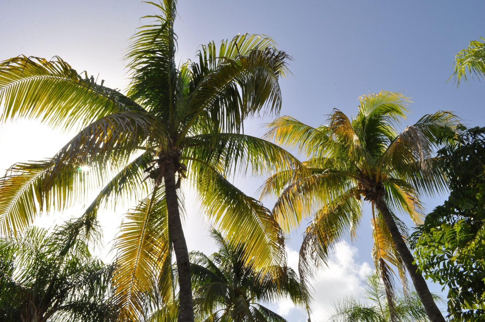 When Is Spring Break 2027? Dates by Week & School | Go Blue Tours