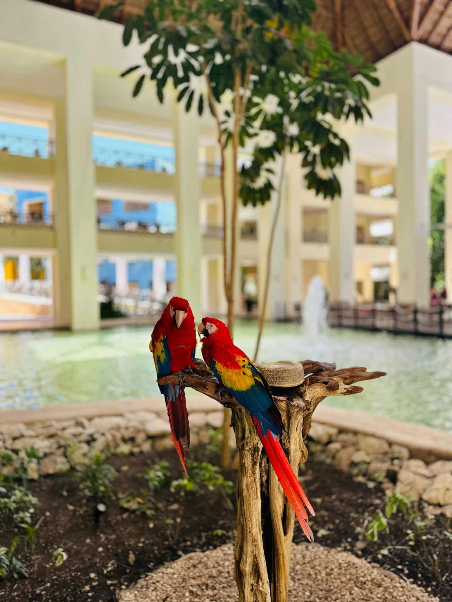 Why All-Inclusive Resorts are Perfect for Spring Break