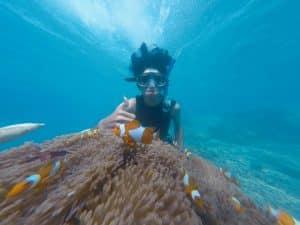 Top Excursion Ideas in Cabo San Lucas for Spring Break