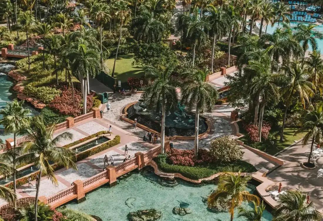 Island Vibes spring break