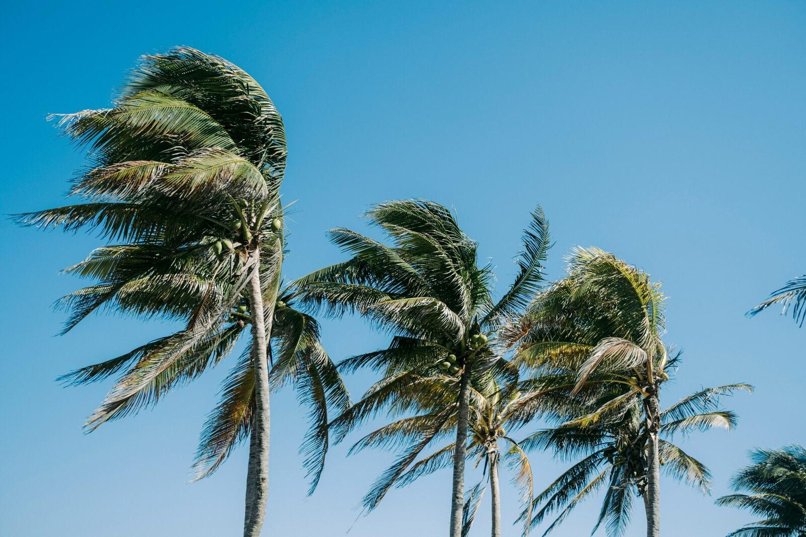 Best Cancun Spring Break Deals for 2026