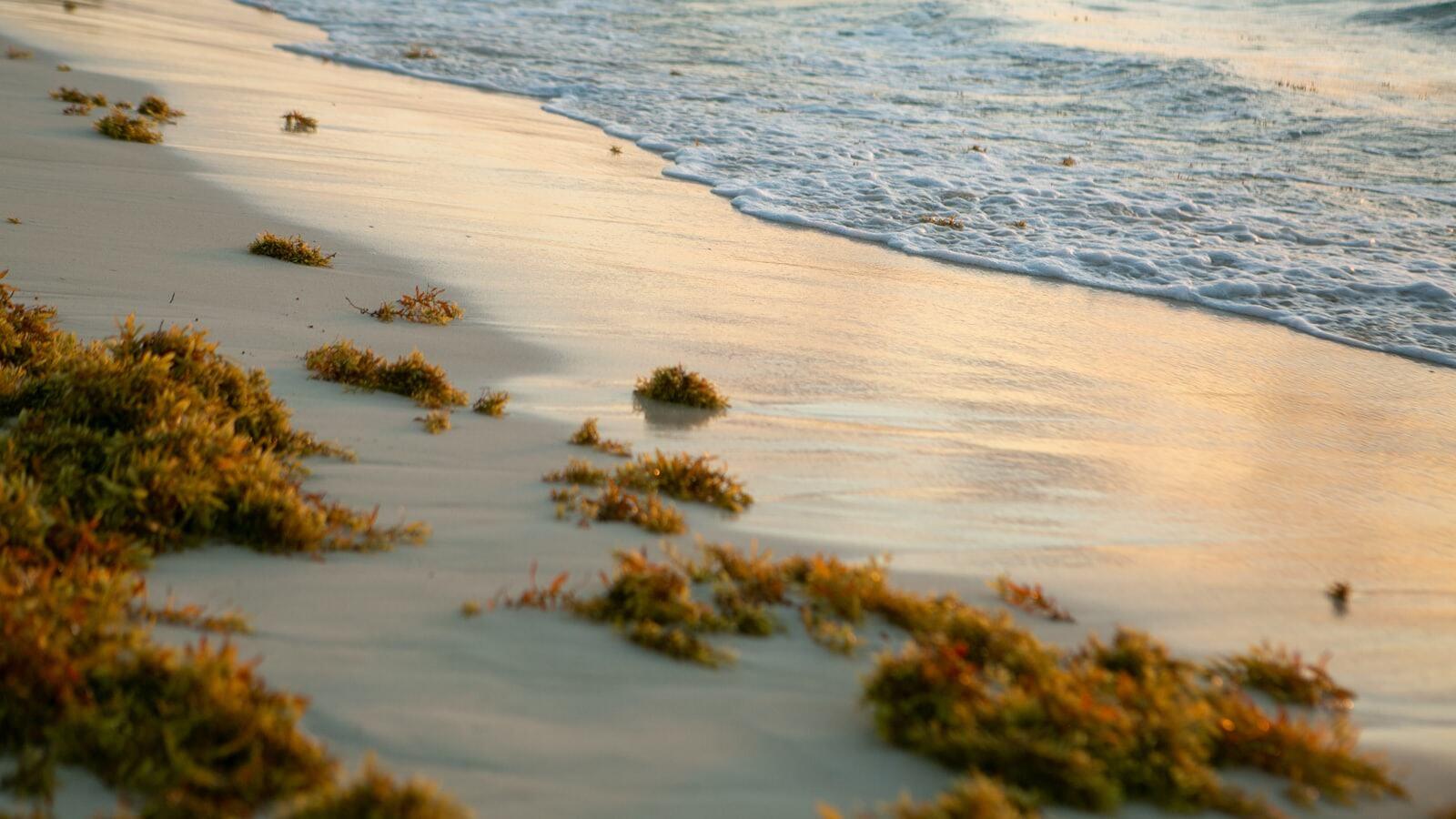 Top 3 Hotels for a Wedding in Playa Del Carmen