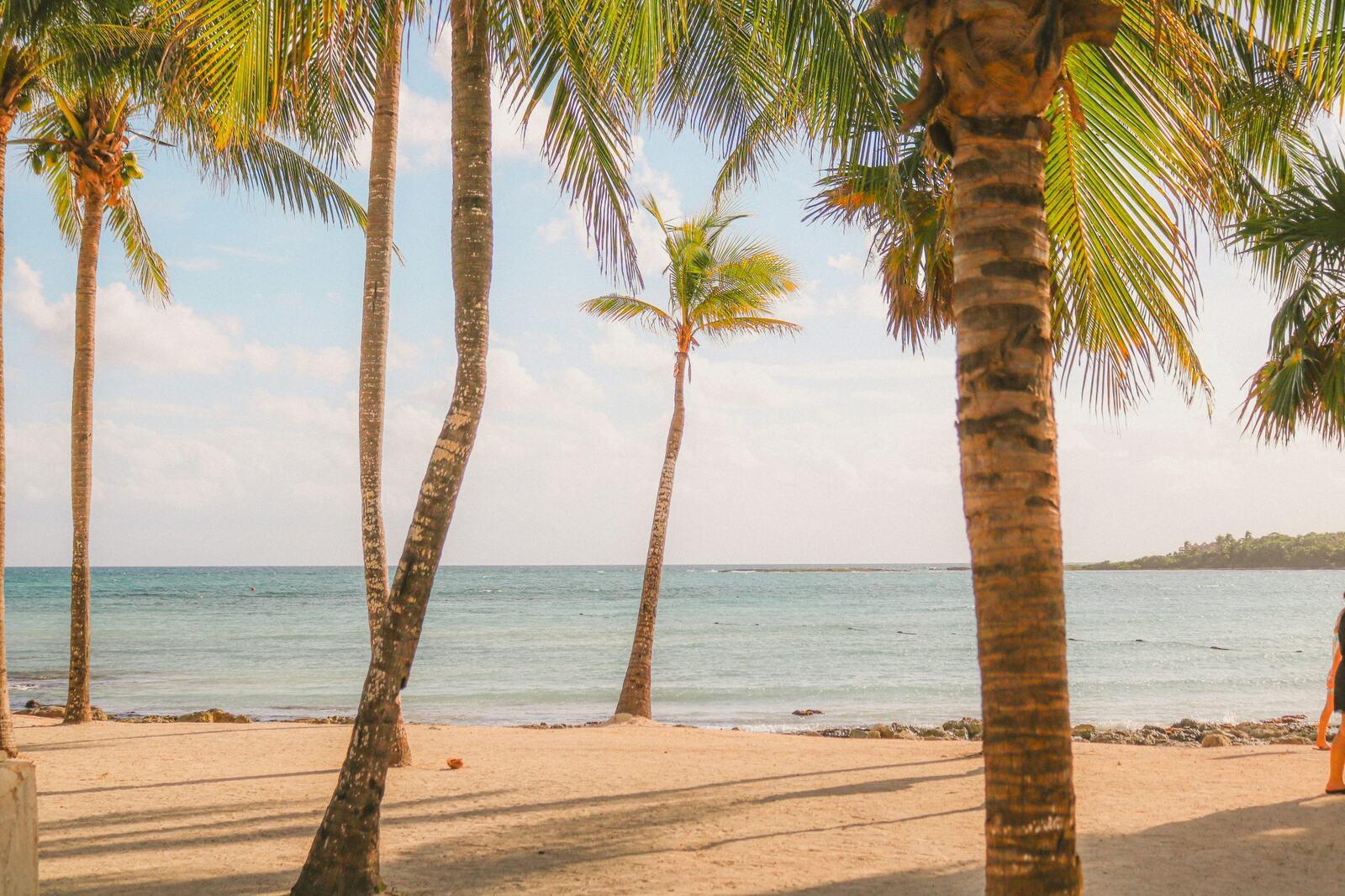 Best Spring Break Resorts in Cancun