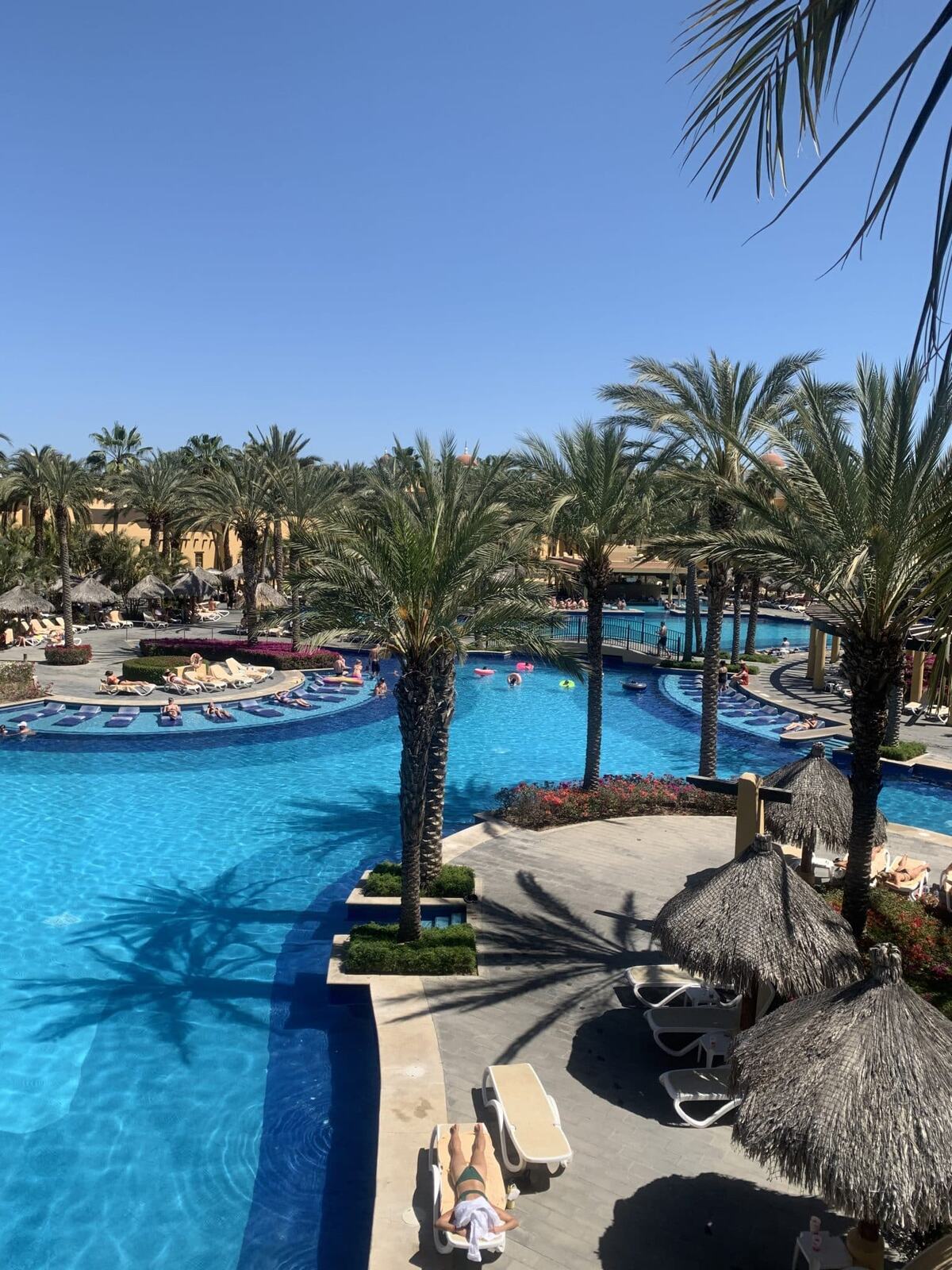 Cabo Hotel Options with Go Blue Tours: