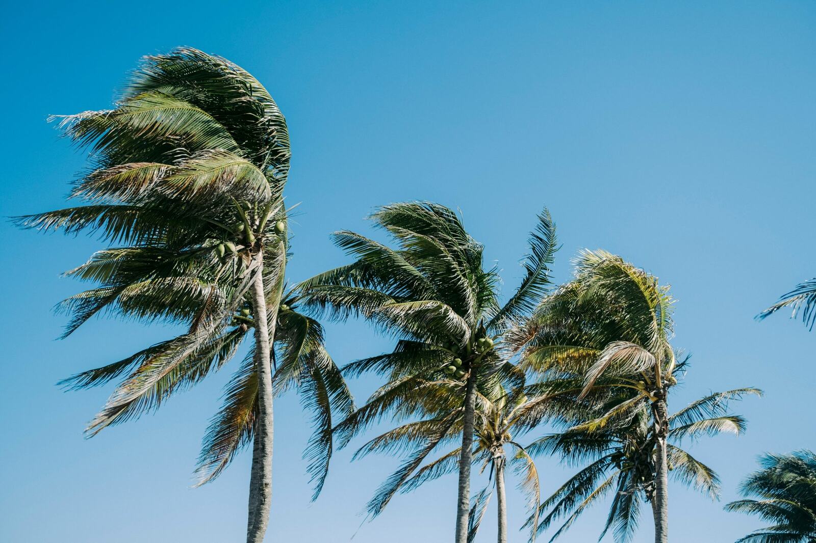 Best Cancun Spring Break Deals for 2026