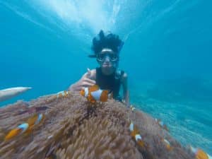 Top Excursion Ideas in Cabo San Lucas for Spring Break