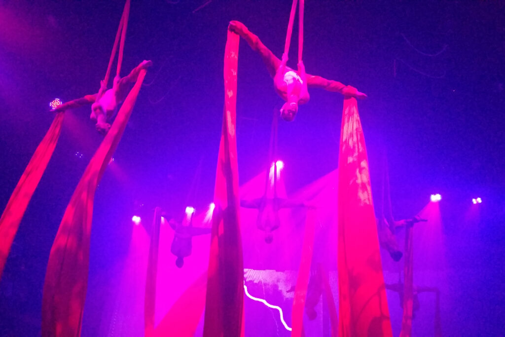 aerial dancers at Coco Bongo
