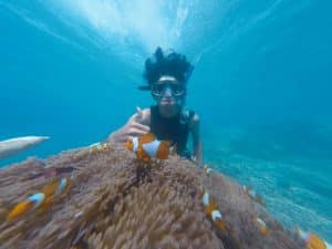 A person wearing a snorkel and mask underwater gives a "shaka" hand gesture. They are near a coral with several clownfish swimming around, surrounded by clear blue water.