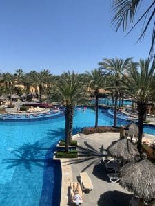 A large outdoor resort pool is surrounded by palm trees and sun loungers. Guests relax on sunbeds and swim in the blue water under a clear sky. Thatched umbrellas provide shade. The scene is bright and tropical.