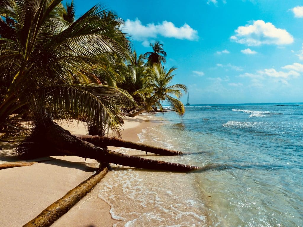 Tropical beach scene with clear turquoise waters gently lapping against a sandy shoreline. Leaning palm trees line the beach under a bright blue sky with scattered fluffy clouds.