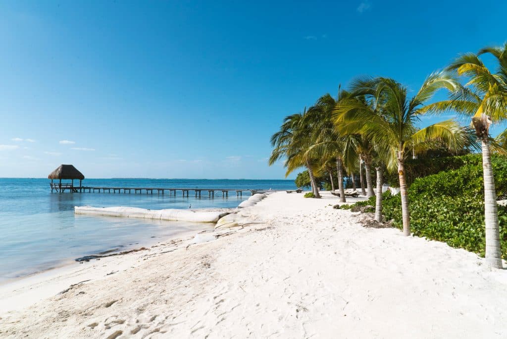 A tranquil beach scene with white sand, palm trees, and a clear blue sky. A wooden pier extends over the calm ocean, leading to a thatched-roof hut. Lush green foliage lines the shoreline.