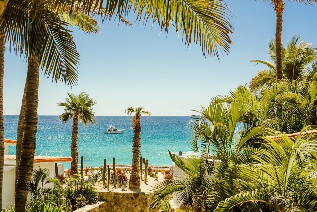 A scenic view of a beachfront lined with palm trees and cacti leads to a calm turquoise ocean. A boat drifts under the clear blue sky, embodying the essence of "Go Blue is Going All-Inclusive" in this tranquil paradise.