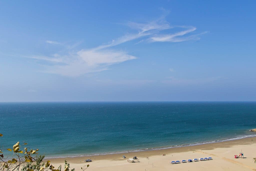 A wide sandy beach meets calm blue ocean under a clear sky with wispy clouds. A few umbrellas and Go Blue Tours Spring Break beachgoers are visible near the water, and some plants frame the lively scene in the foreground.