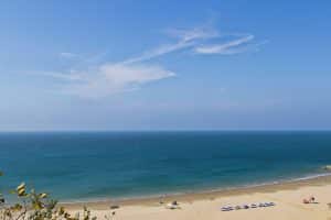 A wide sandy beach meets calm blue ocean under a clear sky with wispy clouds. A few umbrellas and Go Blue Tours Spring Break beachgoers are visible near the water, and some plants frame the lively scene in the foreground.