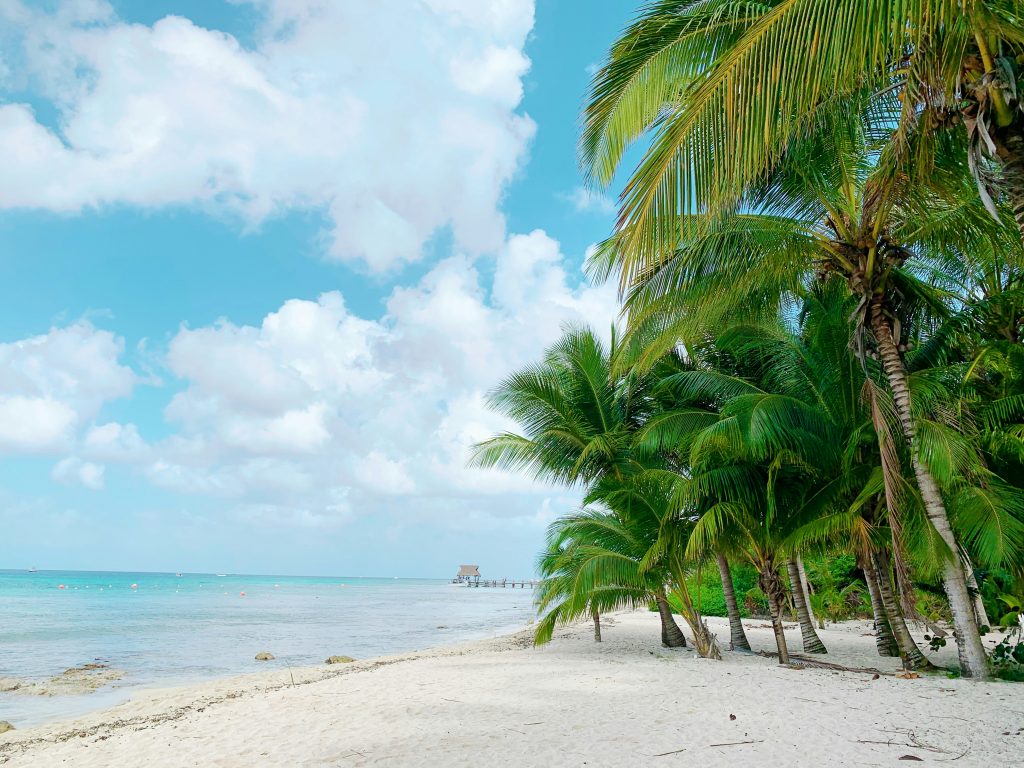 A tropical beach with white sand, clear turquoise water, and tall green palm trees. Fluffy clouds fill the blue sky, and a wooden pier with a thatched hut extends into the sea in the distance.