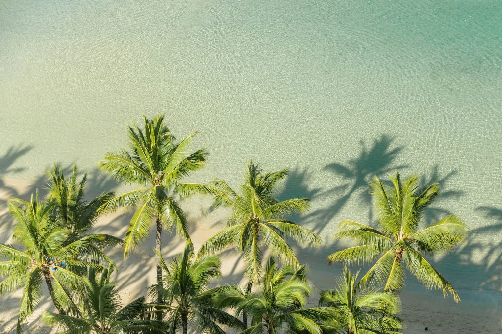 Aerial view of a sandy beach lined with green palm trees casting long shadows over clear, turquoise water. The scene is peaceful and tropical, with gentle waves visible on the shoreline.