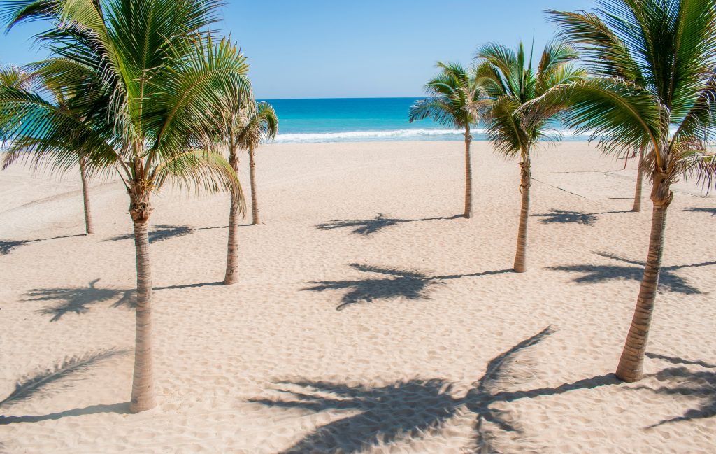 Palm trees cast shadows on a sandy beach under clear blue skies, with turquoise ocean waves in the background.